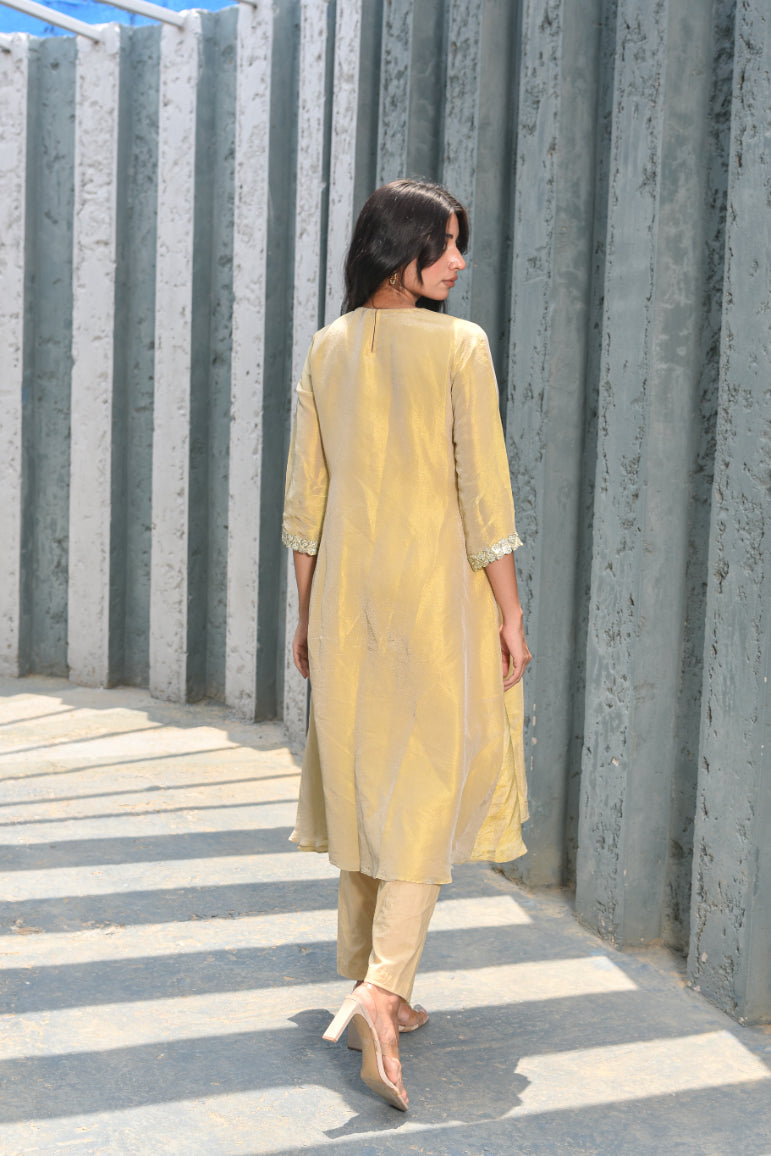 Beige Zari Silk Anarkali Set