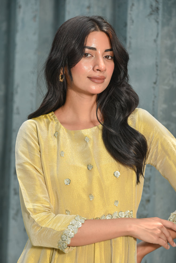 Beige Zari Silk Anarkali Set